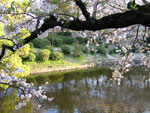 Okazaki Castle's lake