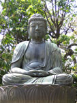 Buddha